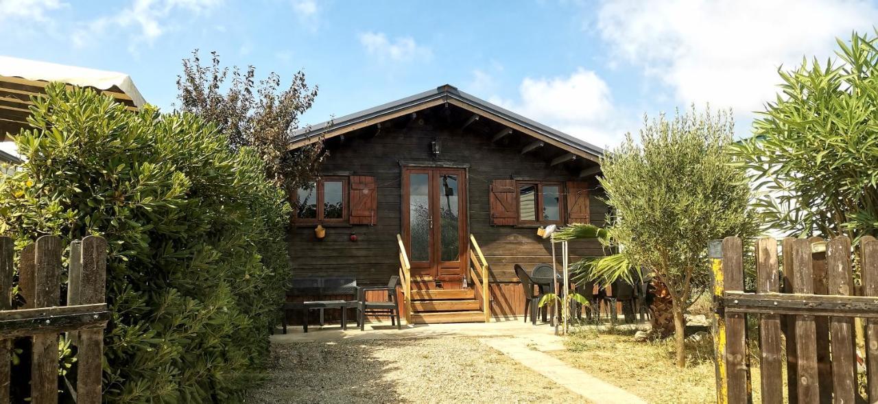 Chalet En Bois "Le Libellule" 씨쟝 외부 사진